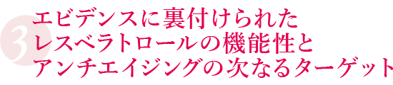 サンタベリーの特徴